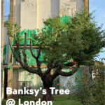 Banksy作品巡禮-倫敦”班克西的樹Banksy’s tree”