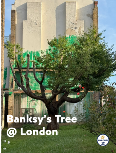 Banksy作品巡禮-倫敦”班克西的樹Banksy’s tree”